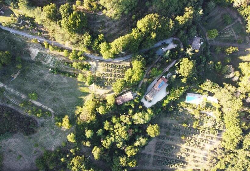 Bed And Breakfast Il Governatore