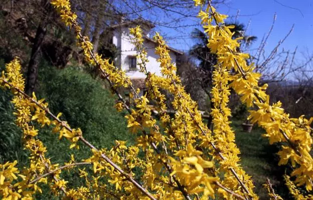 Bed And Breakfast Il Governatore