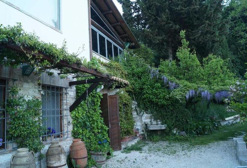 Bed And Breakfast Il Governatore