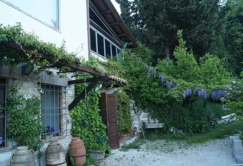 Bed And Breakfast Il Governatore