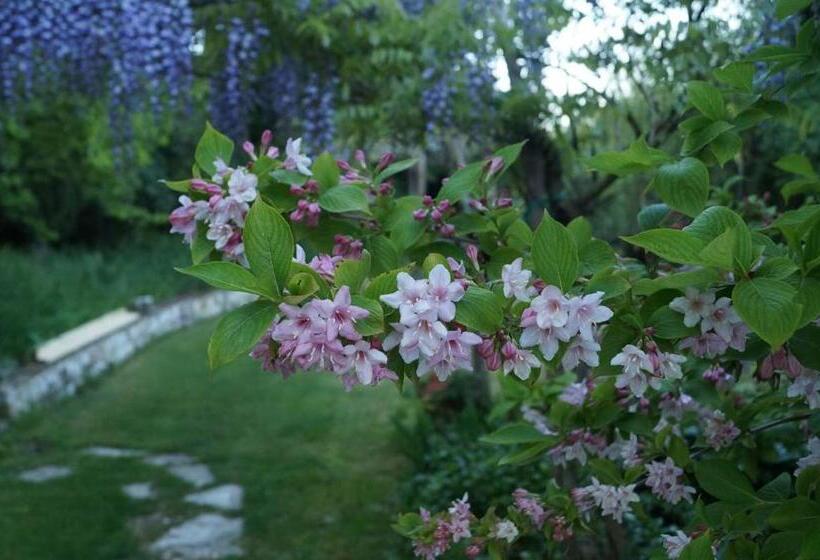 Bed And Breakfast Il Governatore