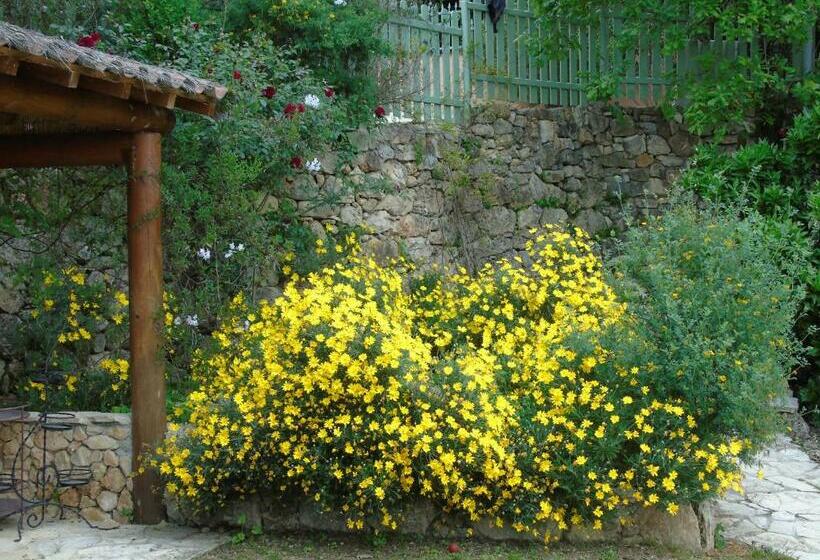 住宿加早餐 Mas Des Citronniers