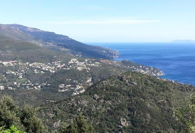 Château Cagninacci B&b