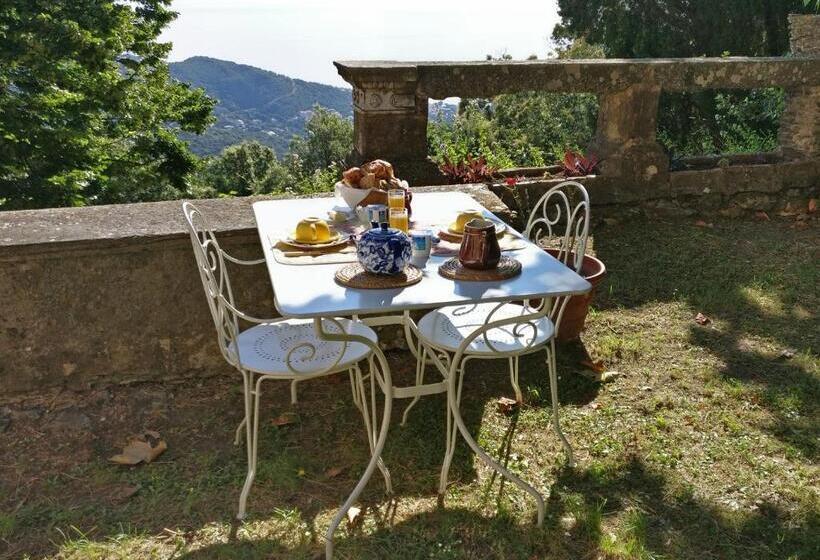 Château Cagninacci B&b