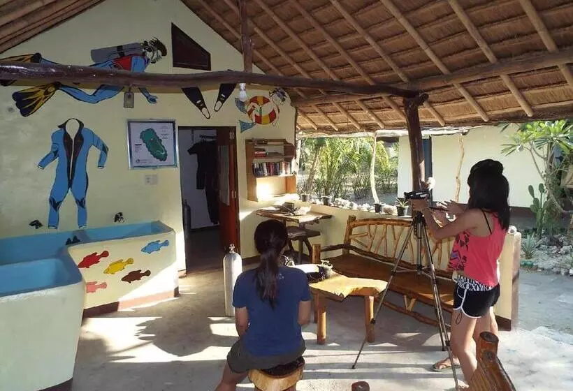 Gustav S Place Silver Beach Dive Resort