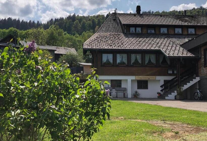 酒店 Das Schwarzwald