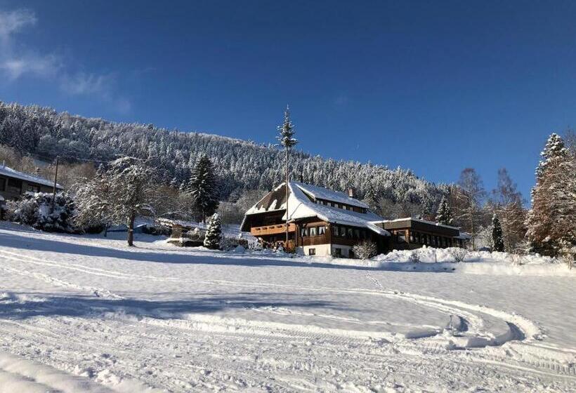 酒店 Das Schwarzwald