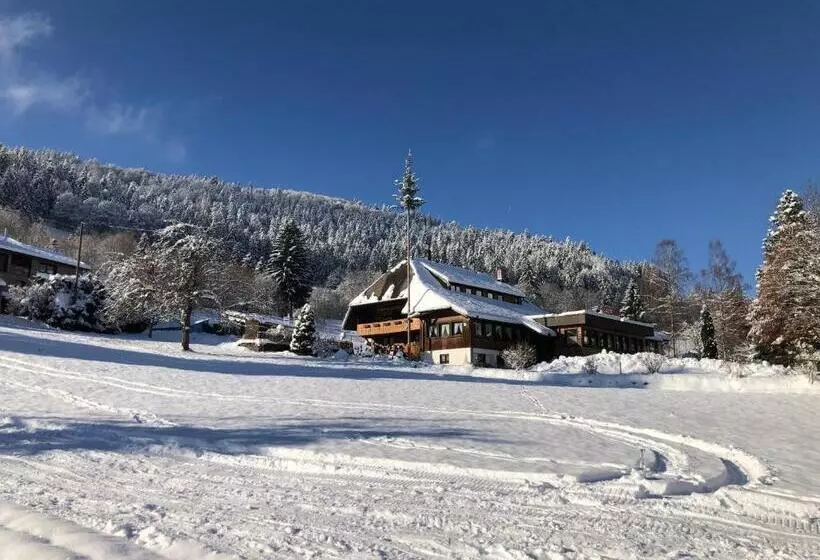 ホテル Das Schwarzwald