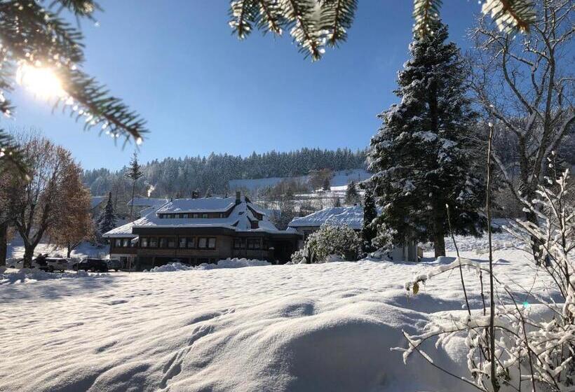 酒店 Das Schwarzwald