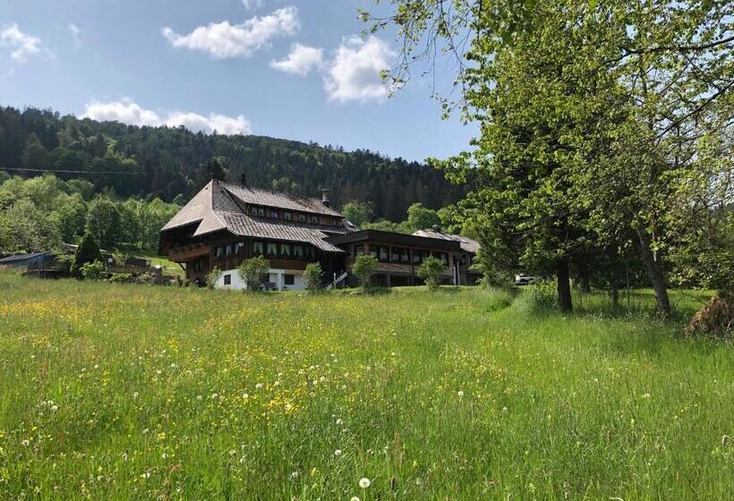 酒店 Das Schwarzwald
