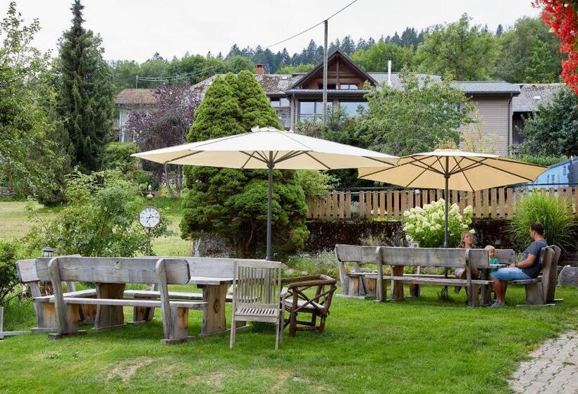 酒店 Das Schwarzwald