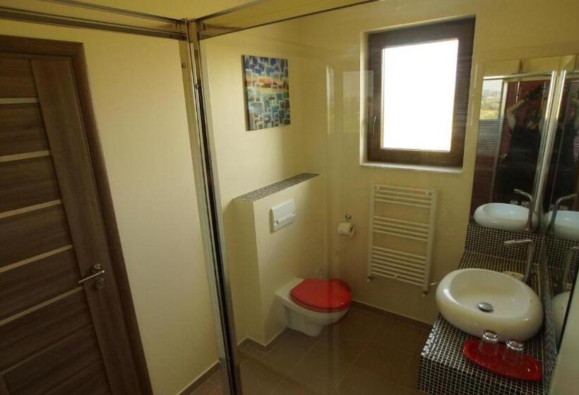 Pensjonat Vila Fara Nume