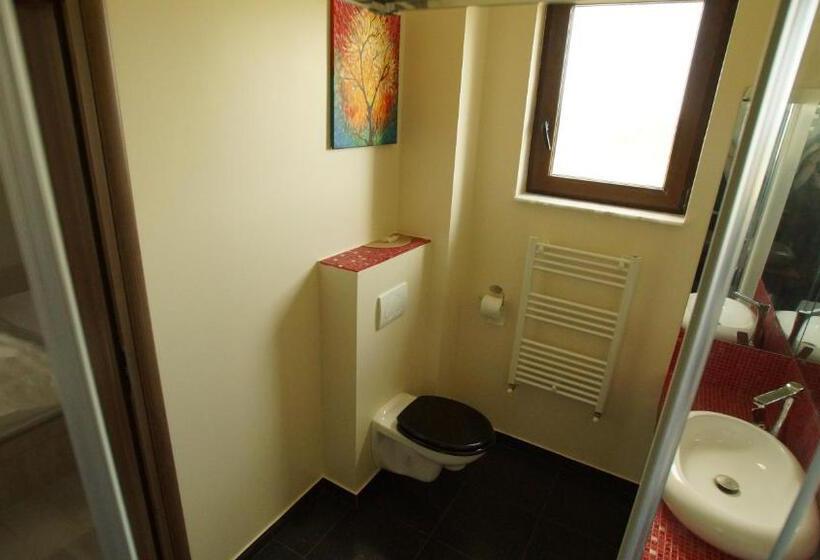 Pensjonat Vila Fara Nume