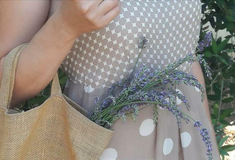 Bed and Breakfast Villa Troisio