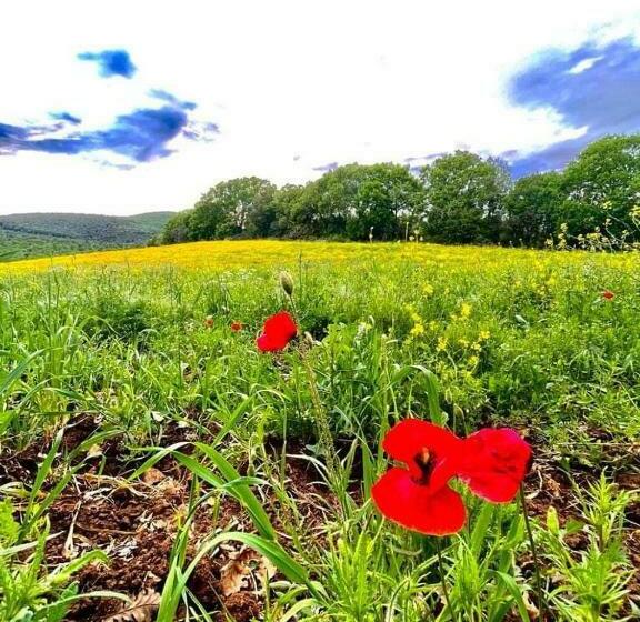 בית מלון כפרי Agriturismo Colleverde Capalbio