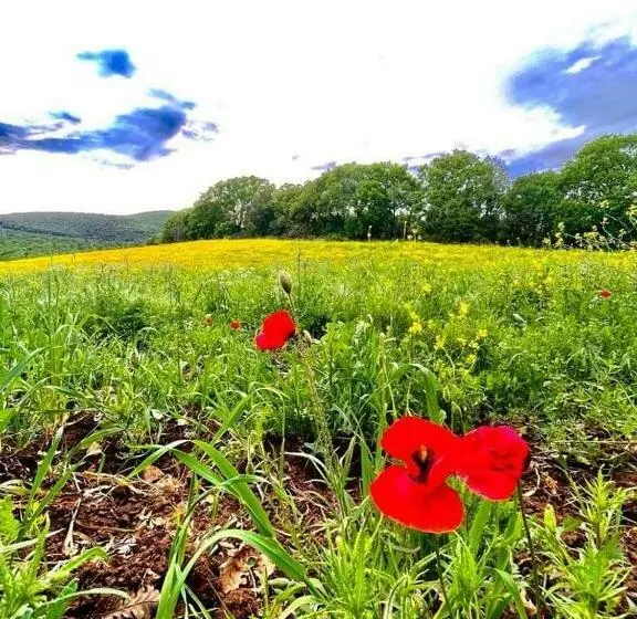 ホテル Agriturismo Colleverde Capalbio