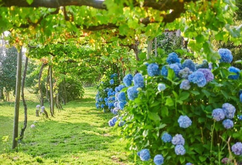بنسيون Outeiro Tuías   Manor House