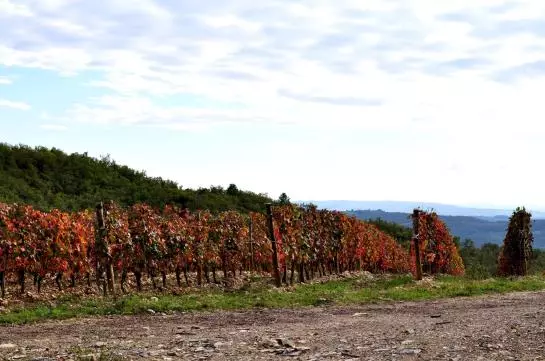 Bed and Breakfast Castellare De Noveschi Resort