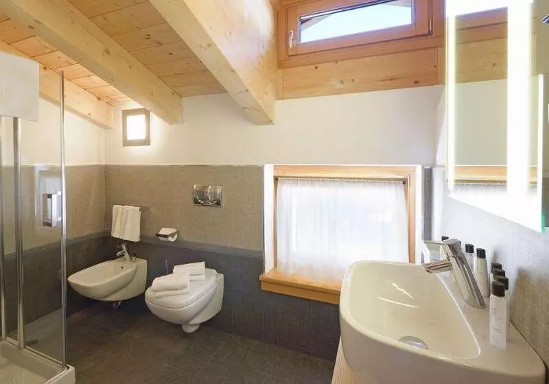 酒店 Chalet Del Brenta