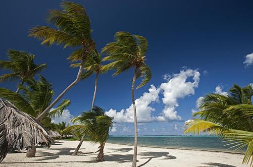 ホテル Club St. Croix Beach And Tennis Resort