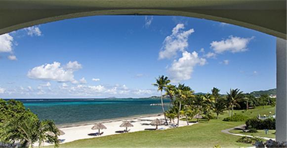 ホテル Club St. Croix Beach And Tennis Resort
