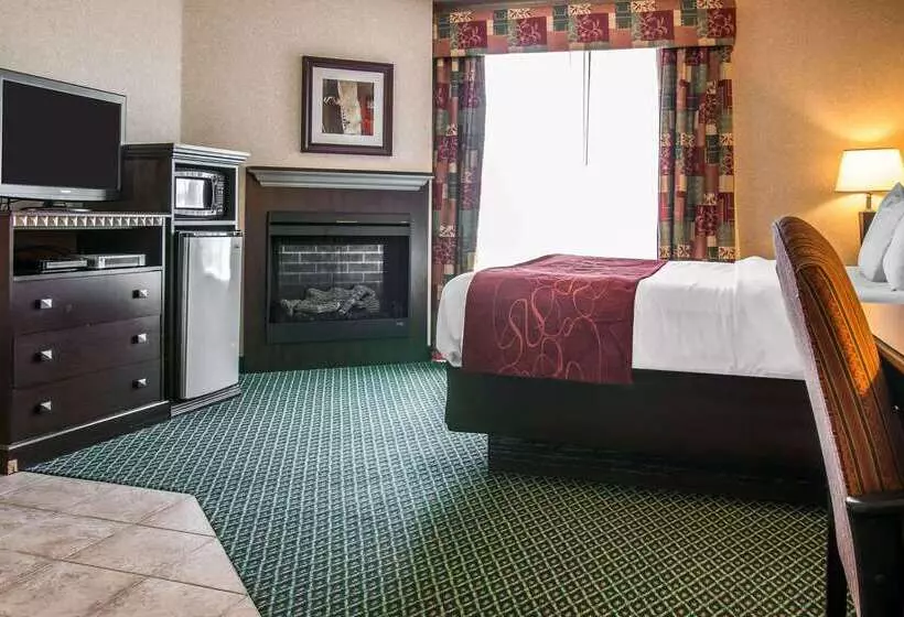 酒店 Comfort Suites