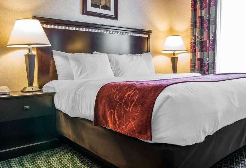 فندق Comfort Suites