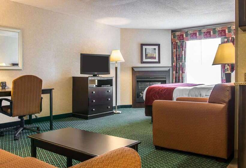 فندق Comfort Suites