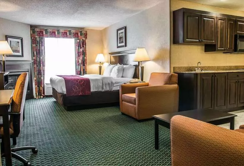 酒店 Comfort Suites