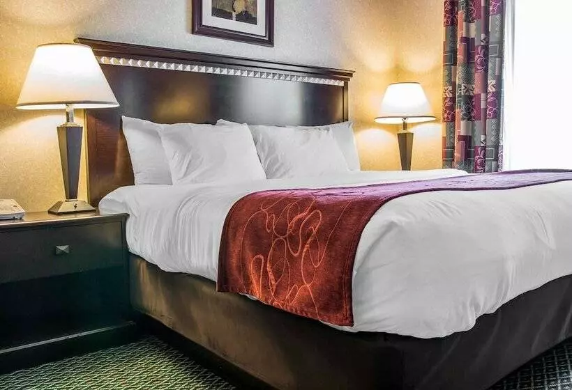 酒店 Comfort Suites