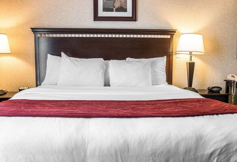 فندق Comfort Suites