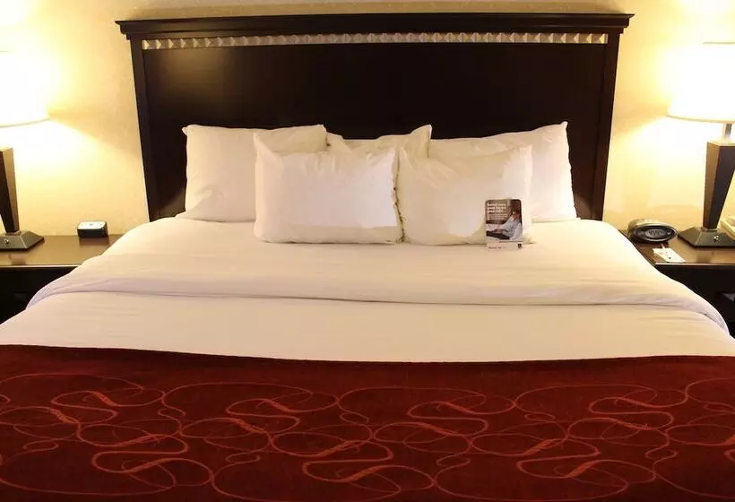 酒店 Comfort Suites