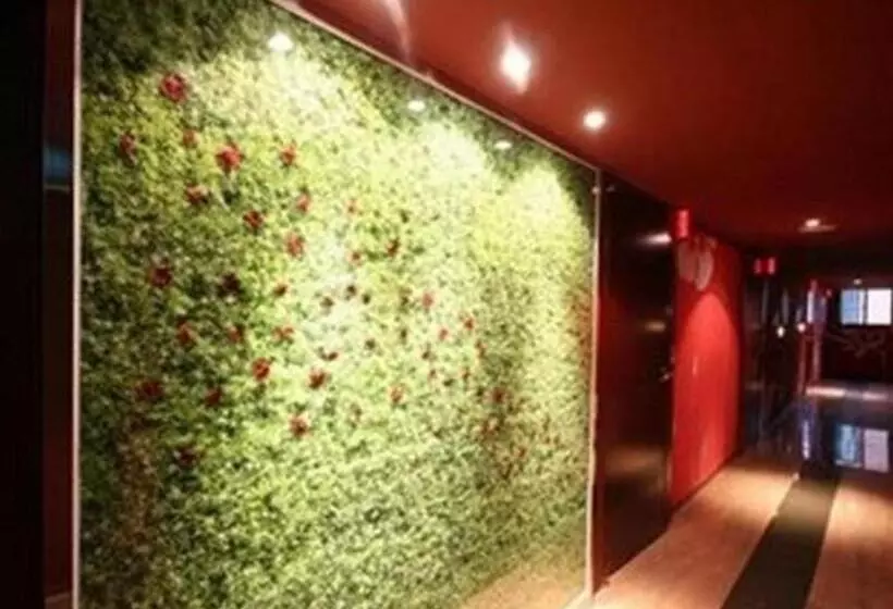 בית מלון כפרי Fox