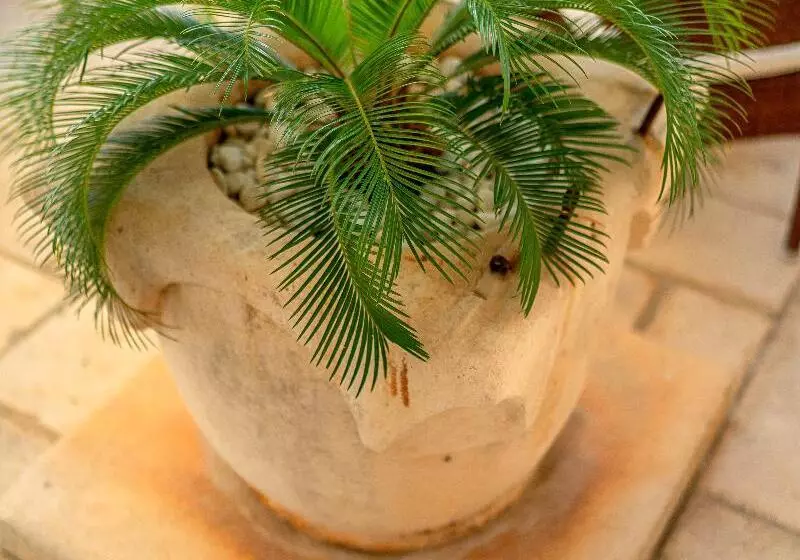 Heritage Hotel Tisno