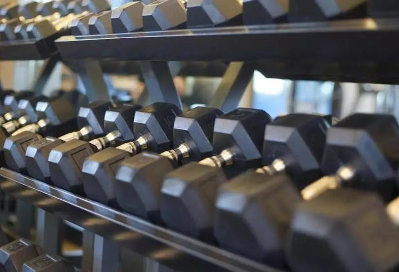 Отель Iron Horse Lodge