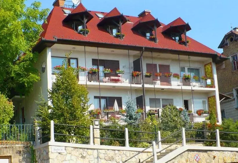 בית מלון כפרי Mohacsi Guesthouse