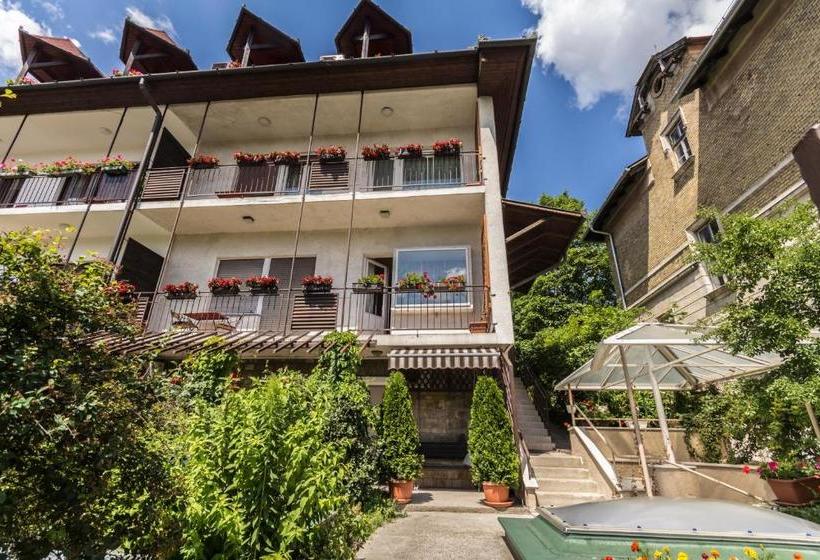 Hotel Mohacsi Guesthouse