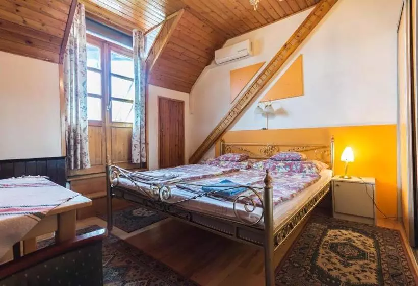 בית מלון כפרי Mohacsi Guesthouse