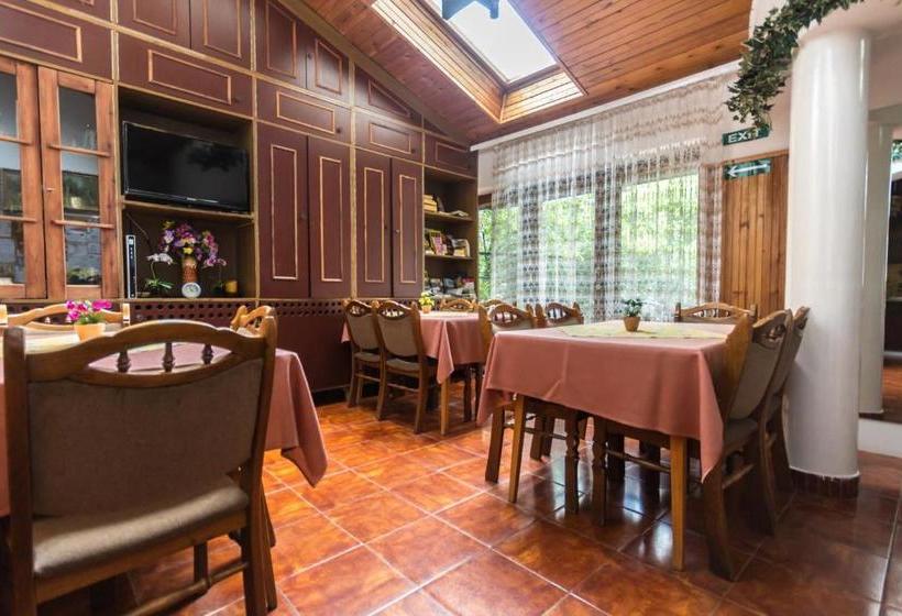 Hotel Mohacsi Guesthouse