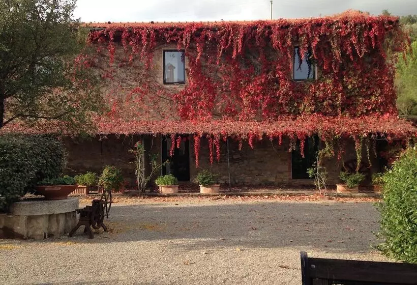 田舎風ホテル Agriturismo San Ottaviano