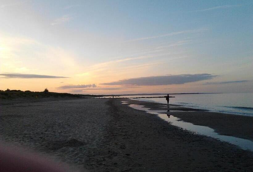 Pansiyon Rosslare Strand Rooms Only Accommodation