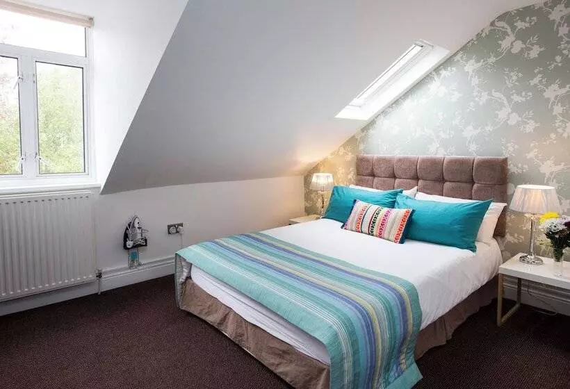 Panzió Primrose Guesthouse