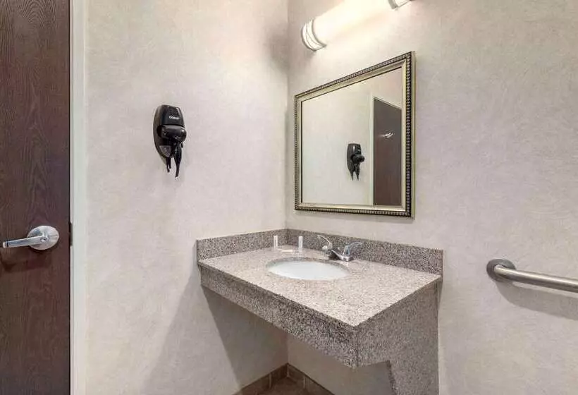 בית מלון כפרי Baymont By Wyndham Pratt