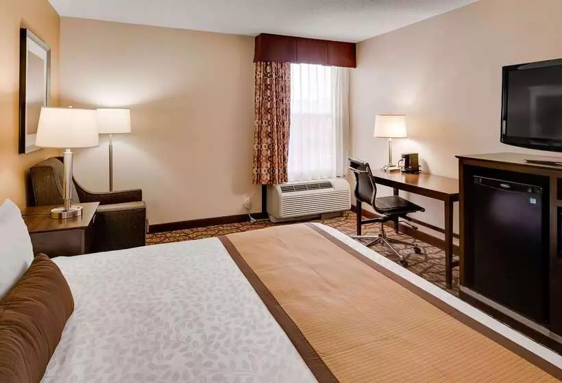 ホテル Best Western Plus Belle Meade Inn & Suites