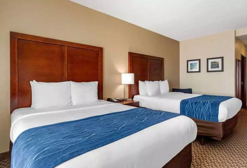 호텔 Comfort Inn & Suites Navasota