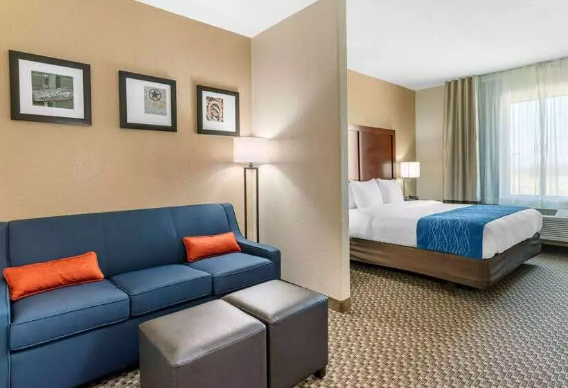 호텔 Comfort Inn & Suites Navasota