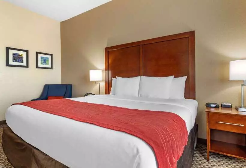 호텔 Comfort Inn & Suites Navasota