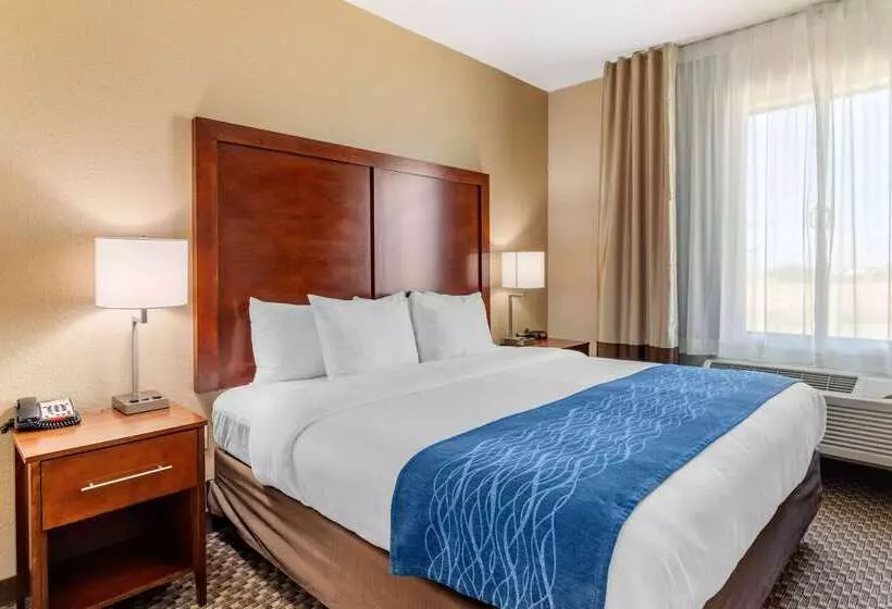 호텔 Comfort Inn & Suites Navasota