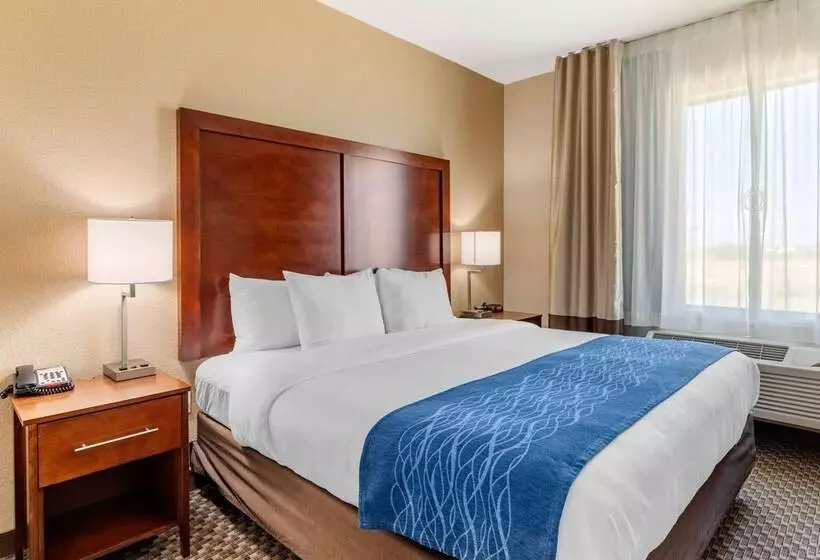 호텔 Comfort Inn & Suites Navasota