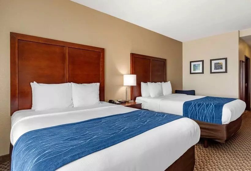 호텔 Comfort Inn & Suites Navasota